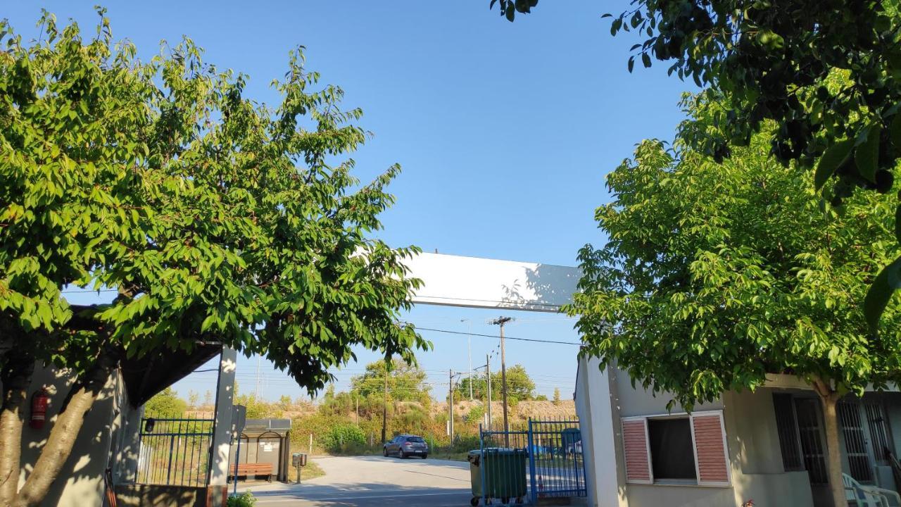 Camping Mitikas And Bungalows Pláka Litóhoru Kültér fotó